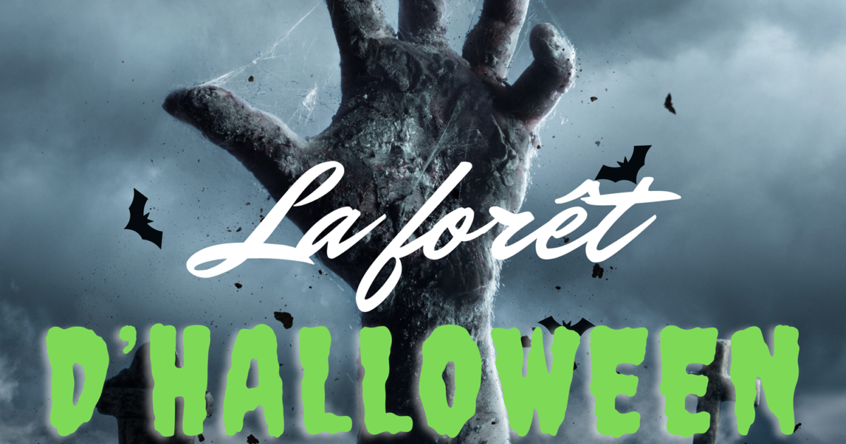 29 octobre balade contées à frissonner 31 ocotbre chemin de l'horreur La forêt d'halloween Fest Ankou Parc du château de Kéravéon Inscription à partir du 12 octobre Inscription à partir du 12 ocotbre à l'office de tourisme uniquement sur place à Erdeven ou Étel Erd'Évènement Vôtre Erdeven
